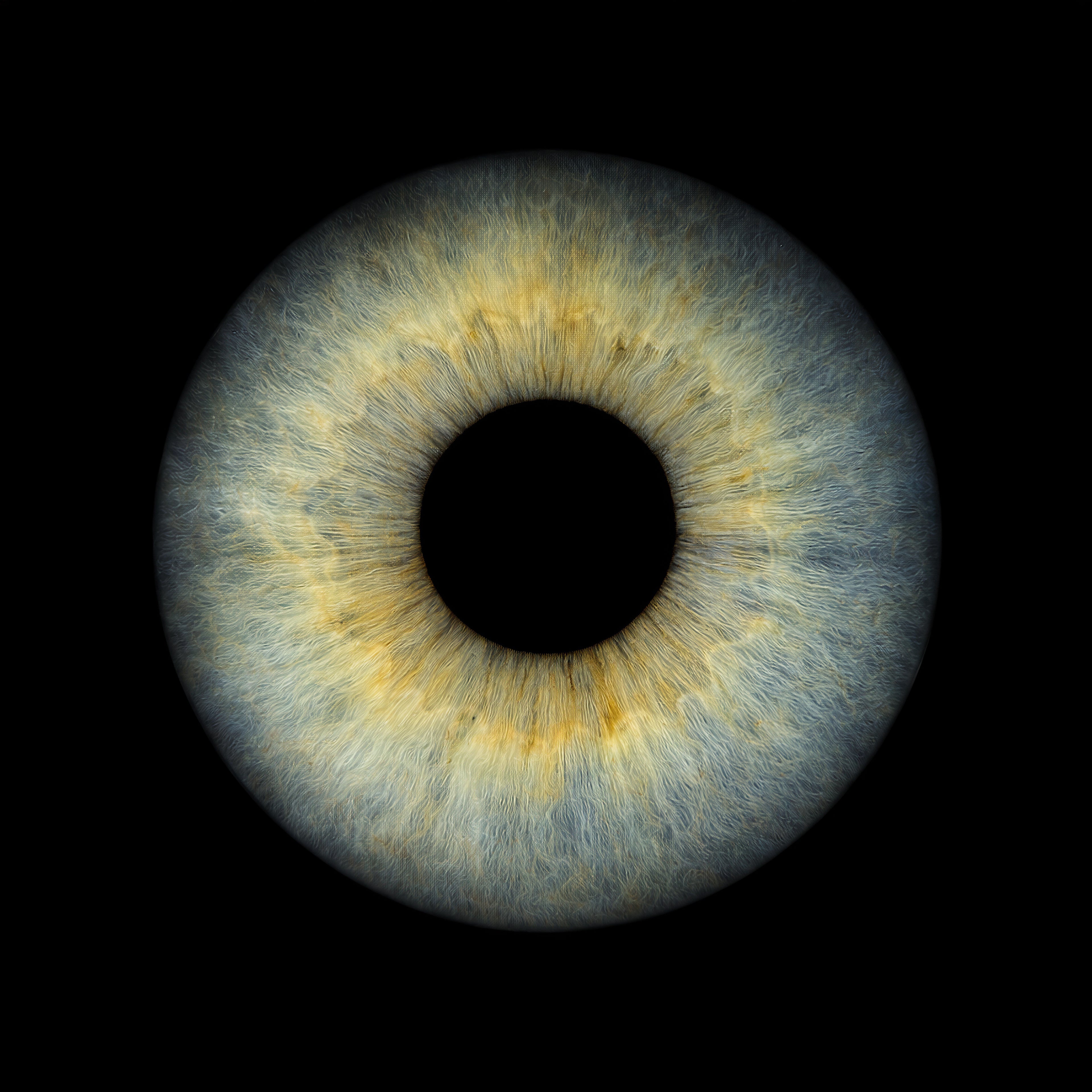 IRIDIA - REMOTE PACK